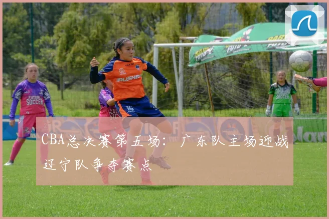 CBA总决赛第五场：广东队主场迎战辽宁队争夺赛点