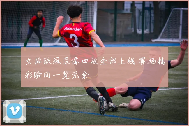女排欧冠录像回放全部上线 赛场精彩瞬间一览无余