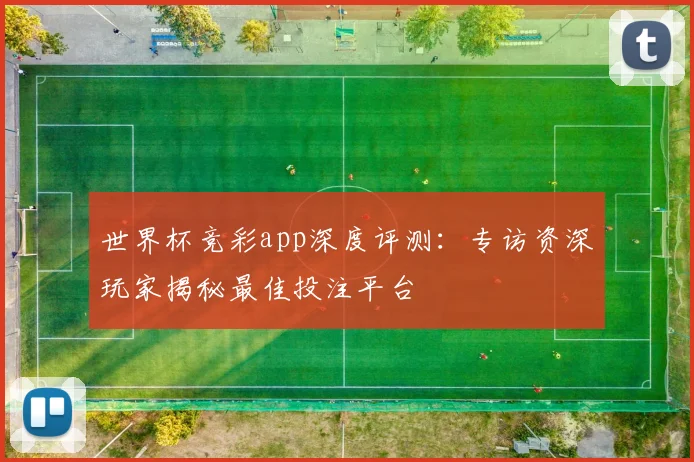 世界杯竞彩app深度评测：专访资深玩家揭秘最佳投注平台