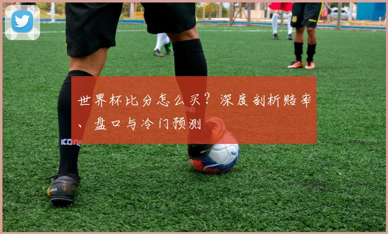 世界杯比分怎么买？深度剖析赔率、盘口与冷门预测