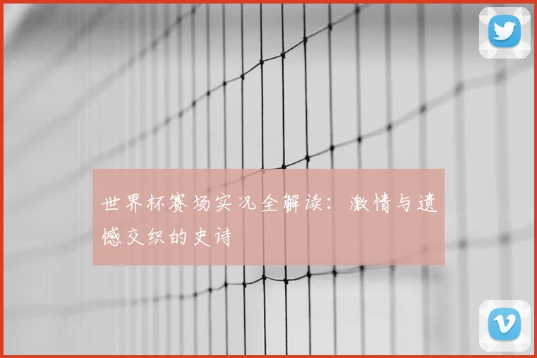 世界杯赛场实况全解读：激情与遗憾交织的史诗