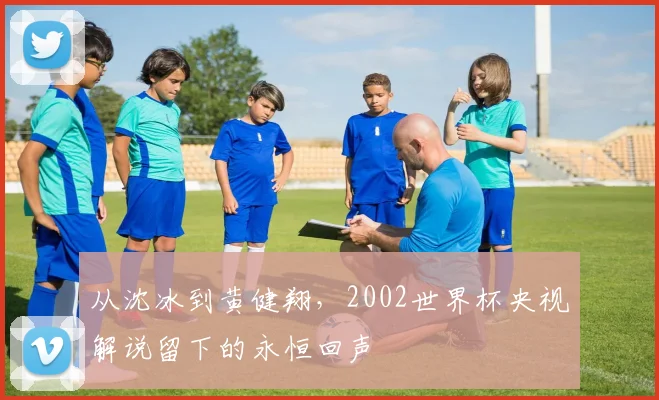 从沈冰到黄健翔，2002世界杯央视解说留下的永恒回声