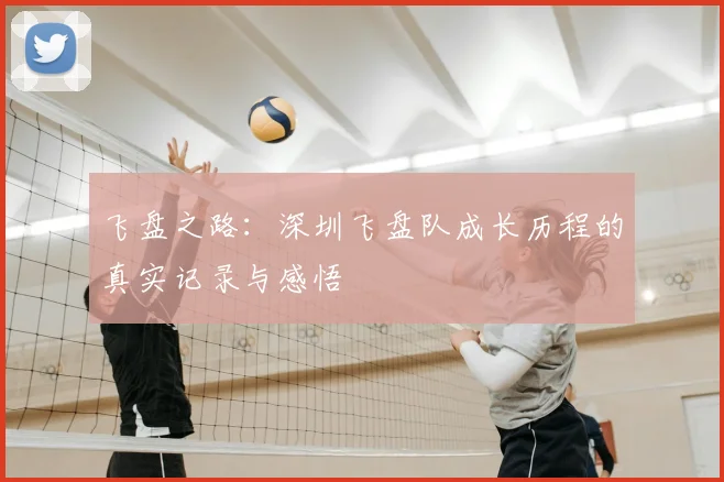飞盘之路：深圳飞盘队成长历程的真实记录与感悟
