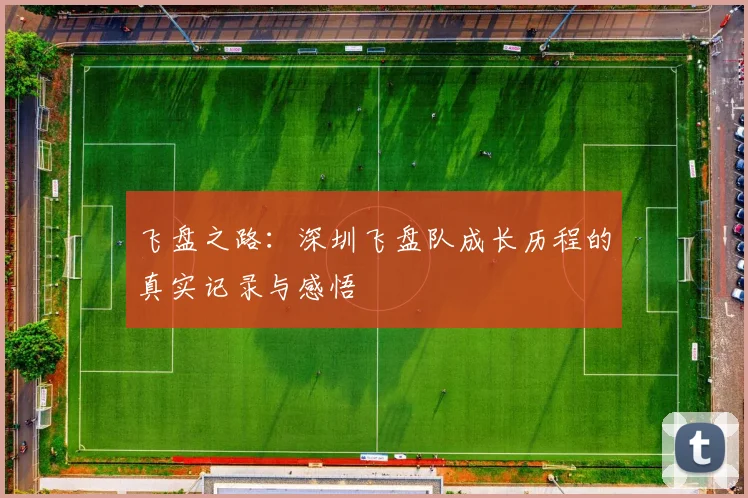飞盘之路：深圳飞盘队成长历程的真实记录与感悟