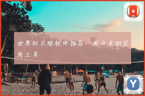 世界杯买球软件推荐，用户亲测实用工具
