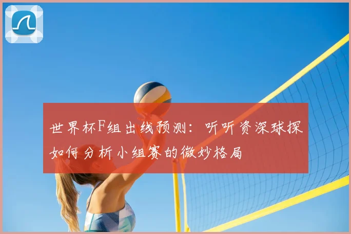 世界杯F组出线预测：听听资深球探如何分析小组赛的微妙格局