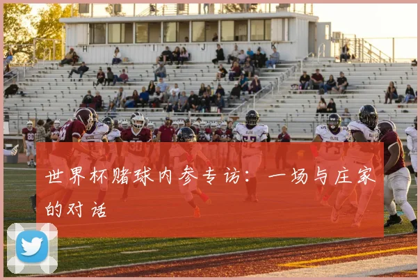 世界杯赌球内参专访:一场与庄家的对话