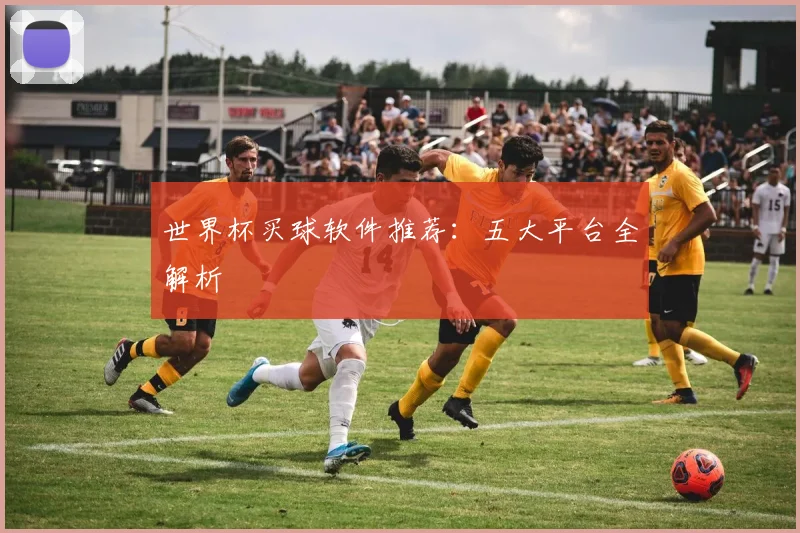 世界杯买球软件推荐：五大平台全解析