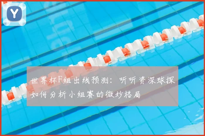 世界杯F组出线预测：听听资深球探如何分析小组赛的微妙格局