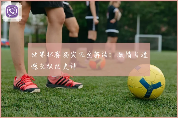 世界杯赛场实况全解读：激情与遗憾交织的史诗