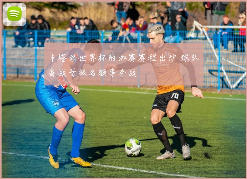 卡塔尔世界杯附加赛赛程出炉 球队备战晋级名额争夺战
