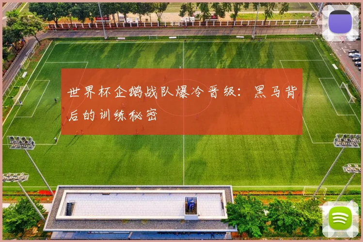 世界杯企鹅战队爆冷晋级:黑马背后的训练秘密
