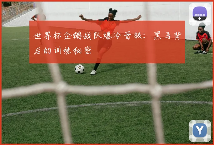 世界杯企鹅战队爆冷晋级：黑马背后的训练秘密