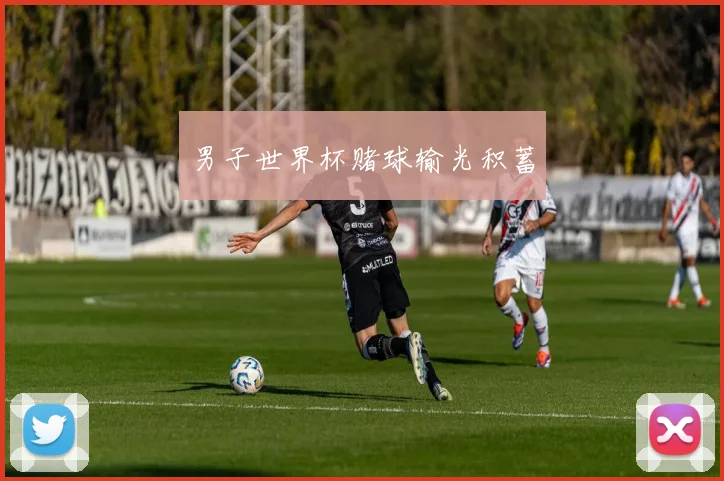 男子世界杯赌球输光积蓄